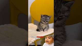 Download Lagu Yang paling sakit, kita belum membahagiakan orang tua - Nasehat islami #dakwah #dakwahislam MP3