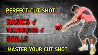 How to play a cut shot | cut shot kese khele | cut shot kese mare | cricket science