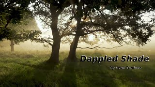Dappled Shade