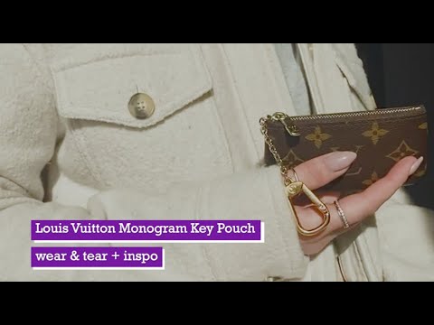 Louis Vuitton French Purse Wallet  Wear & Tear after 3 years 