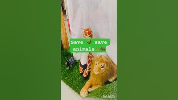 Save🌳 save🦒🦁#savetrees #shorts #forest #save #nature #tree #animals #sad #nature #viral #status