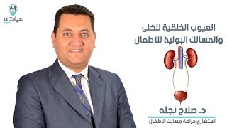 العيوب الخلقية في الكلي والمسالك البولية عند الأطفال مع  د / صلاح نجله
