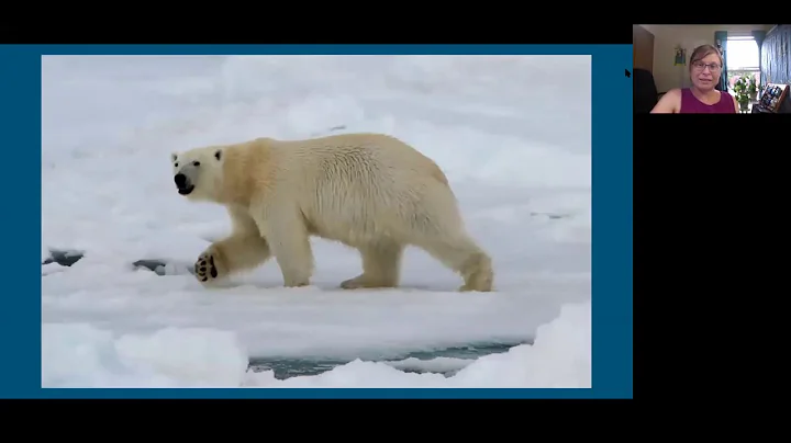 LIVE Online: An Artist in the Arctic with Chelsea ...
