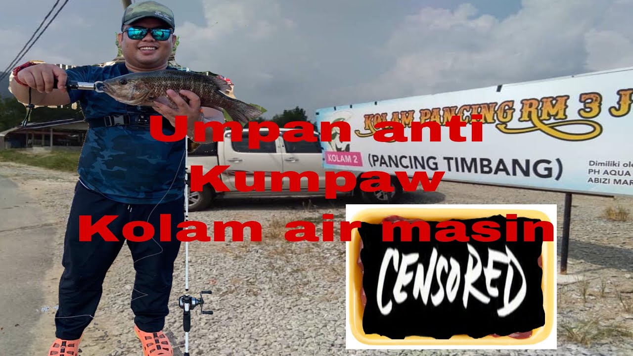 Umpan favorite siakap merah kolam air masin.. 