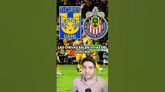 🔥 Tigres vs Chivas, EL REBAÑO SALE VIVO del VOLCÁN. #ligamx #chivasdelguadalajara  #tigresuanl thumbnail