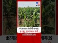 Karmala Banana Farming | करमाळ्यात यंदा केळीच्या क्षेत्रात मोठी घट...