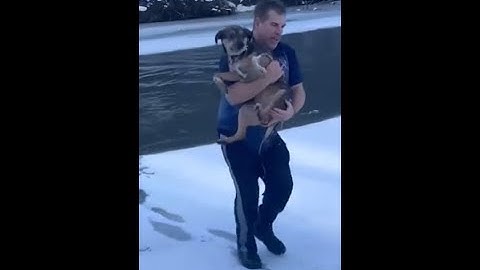 Raw video: Vermont man rescues dog from freezing river in Barre