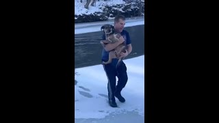 Thumbnail for Raw video: Vermont man rescues dog from freezing river in Barre