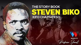 The story book Historia ya Steven biko