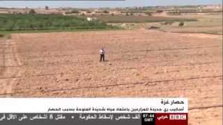 أساليب ري جديدة للمزارعين في غزة لمواجهة شح المياه