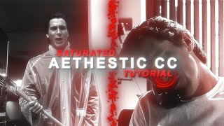 Saturated aesthetic CC | Alight motion tutorial (+preset)
