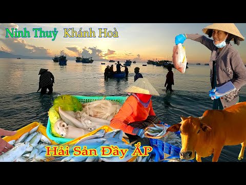 Video ĐƯỜNG VỀ MIỀN TRUNG 6║Buổi Sáng Đẹp Nứt Lòng Với Làng... - youtube