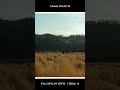 FUJIFILM GFX 100s II Experience EP.2