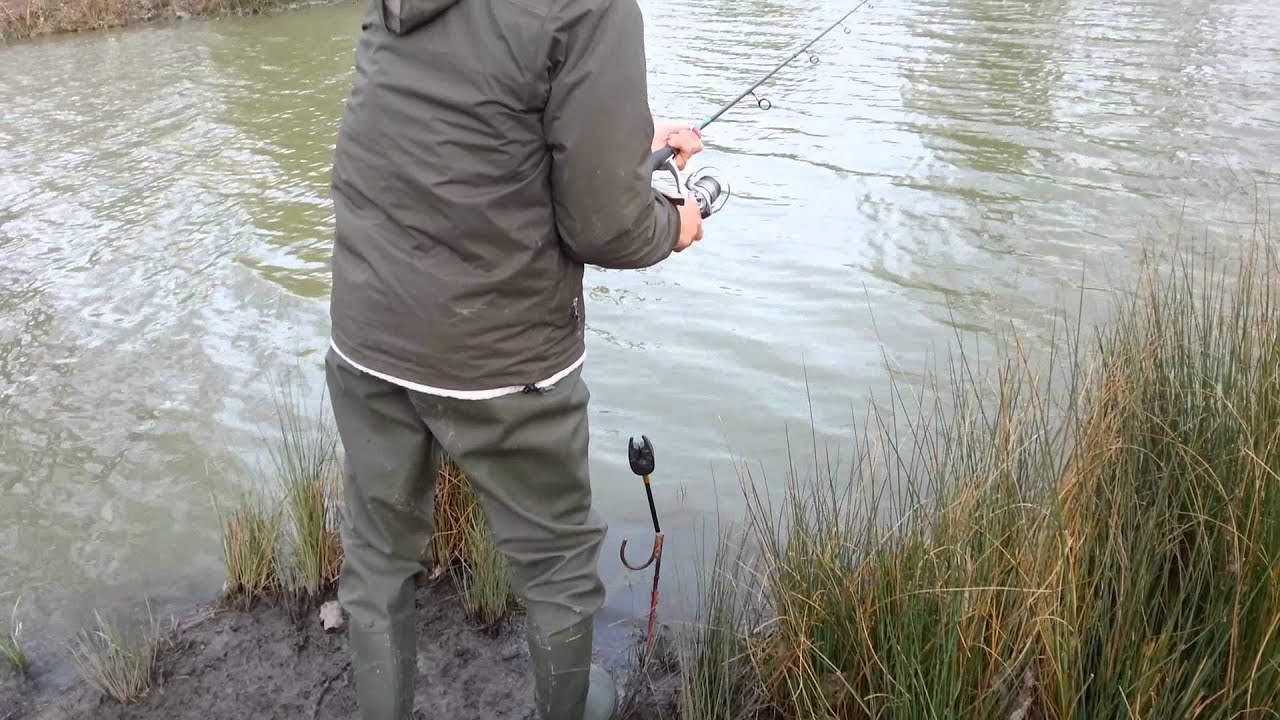 Peche a l anguille en etang YouTube