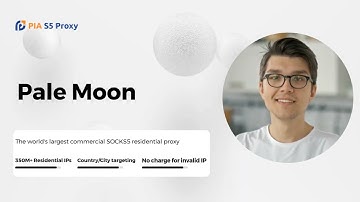 Pale Moon Anti-Detection Browser Review 2024: Pros and Cons