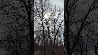 Finally spring!!! I love the morning walks. #walking #dogs #springvibes g