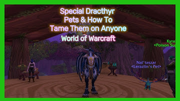 Special Dracthyr Pets & How To Tame Them on Anyone (WoW)
