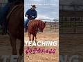 Teaching #Softness to a #younghorses #fyp #ride a #horse #horsemanship #horseriding #equestrian #eq