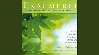 Songs without Words, Op. 62: 6. Allegretto grazioso in A Major Spring Song (Arr. for String...