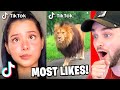 *TOP 50* Most Liked TikToks of All Time! (2021)