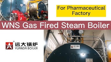 Running Video of WNS Horizontal Steam Boiler 10 ton, Gas Boilers 1 2 3 4 5 6 8 10 12 15 20 25 ton/h