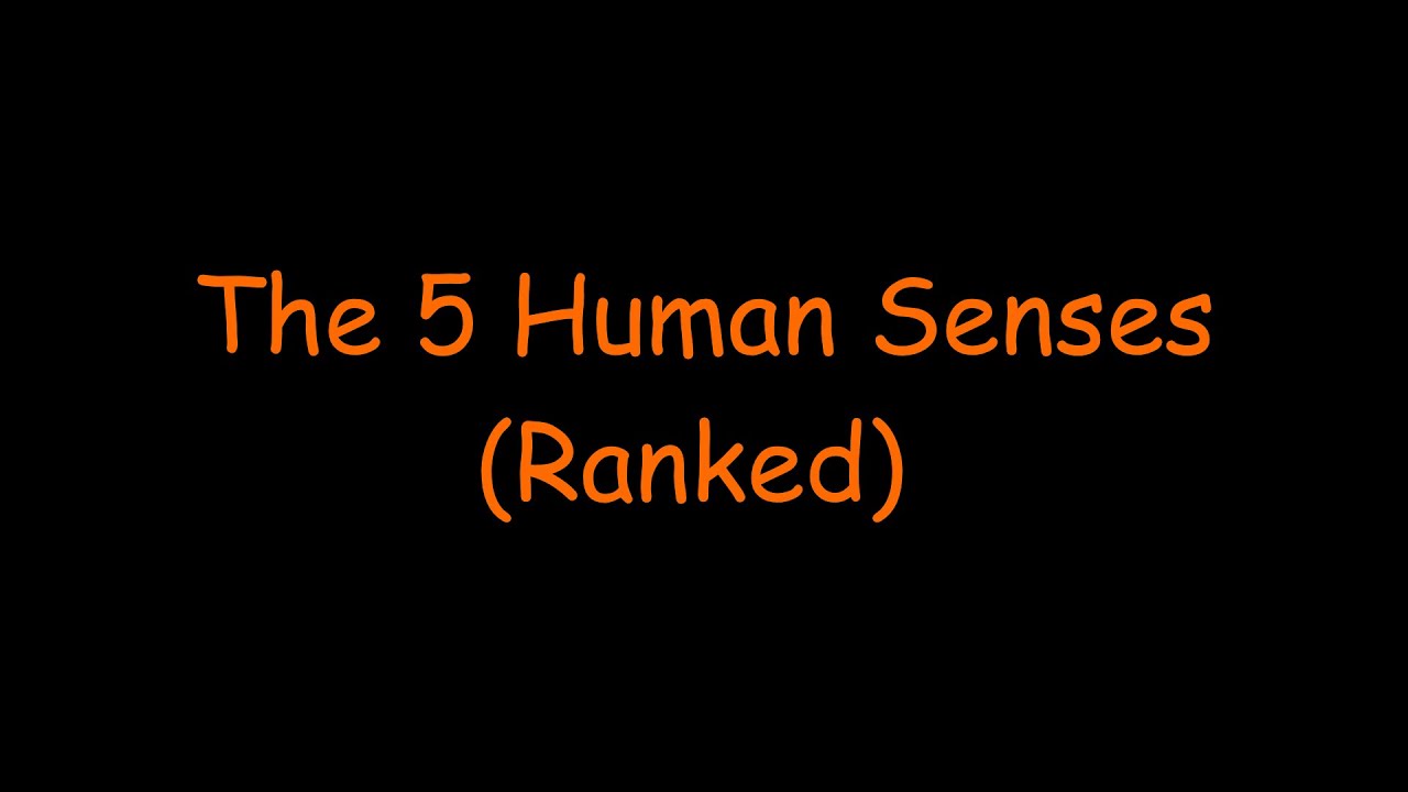 The 5 Human Senses Ranked - YouTube