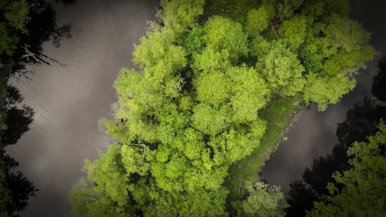Danske Torpare på fisketur i Mörrumsån