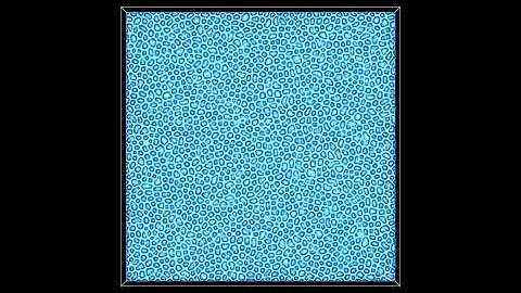 Thermal shock crack pattern: phase-field simulation. Top-view