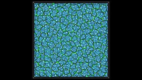 Thermal shock crack pattern: phase-field simulation. Top-view