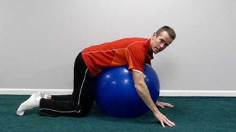 Stability Ball Quadruped with Personal Trainer John Chase