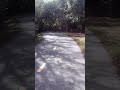 E-Bike - Cyclist or Biker?