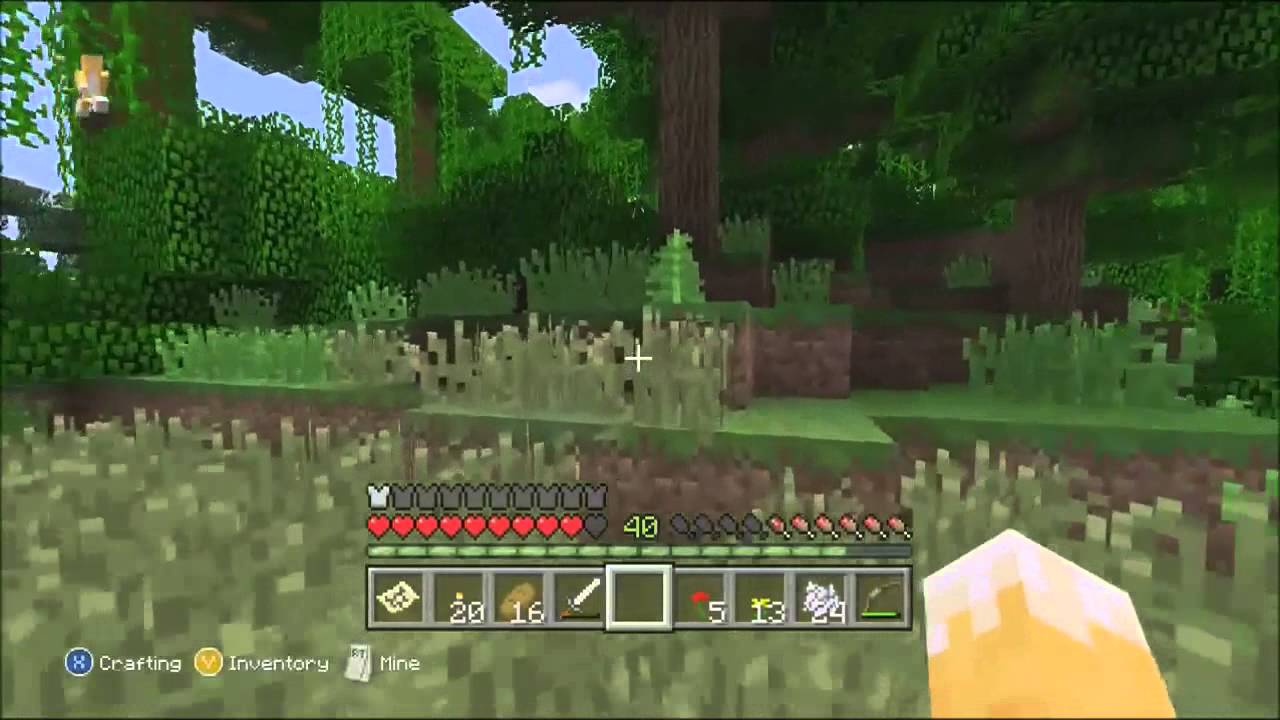 Minecraft Xbox - The Great Dye Hunt