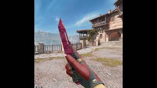 Driver Gloves Dragon Fists and Paracord Knife Slaughter Combo | CS2 (2026)