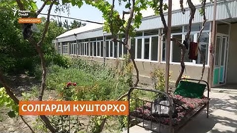 Солгарди кушторҳои Конибодом. Ҳанӯз ҳам суолҳои беҷавоб зиёд будааст