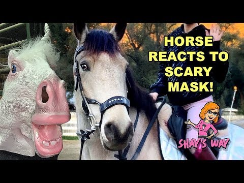 horse-reacts-to-scary-mask---hilarious