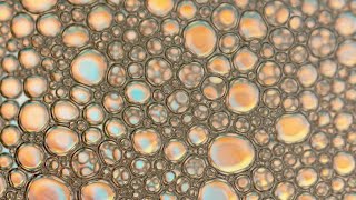 Foam Bubble Stock Video