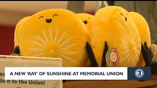 Meet the designer behind Ray Laken a plushie bringing sunshine to UW-Madison ahead of summer