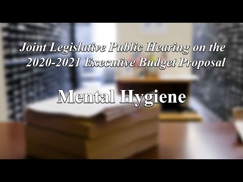 Joint Legislative Public Hearing on Executive Budget Proposal: Mental Hygiene Hearing - 02/03/20