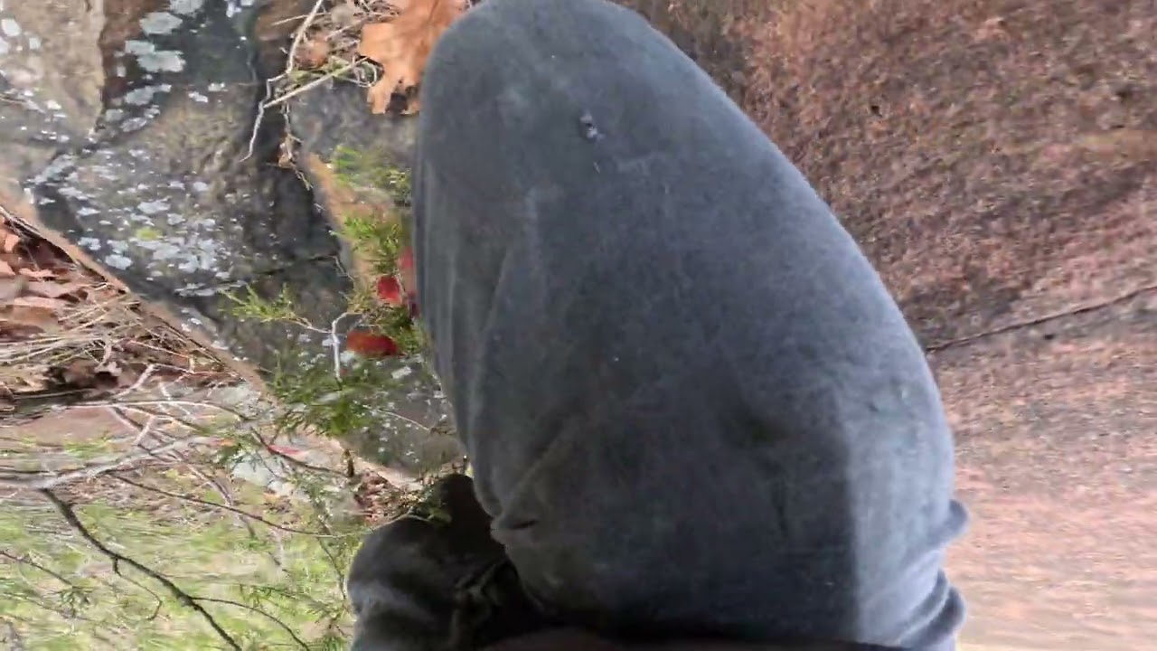 free scramble with bixter