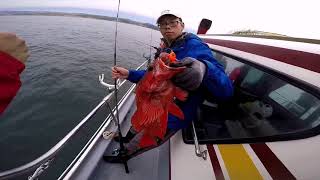 ANKENY STREET Sportfishing Charter ROCK Cod Lingcod fishing @ Pescadero / Half Moon Bay
