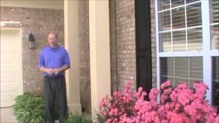 LAKE VIEW REAL ESTATE FOR SALE 132 ALFORD LANE HARVEST