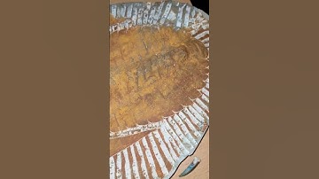 Massive Trilobite Fossil #shorts