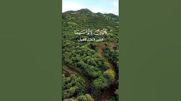سورة الأنفال #القارىء_الخليل_الأشول #اكسبلورر #السعودية #اكسبلور #راحة_نفسية #دويتو #حالات_واتس