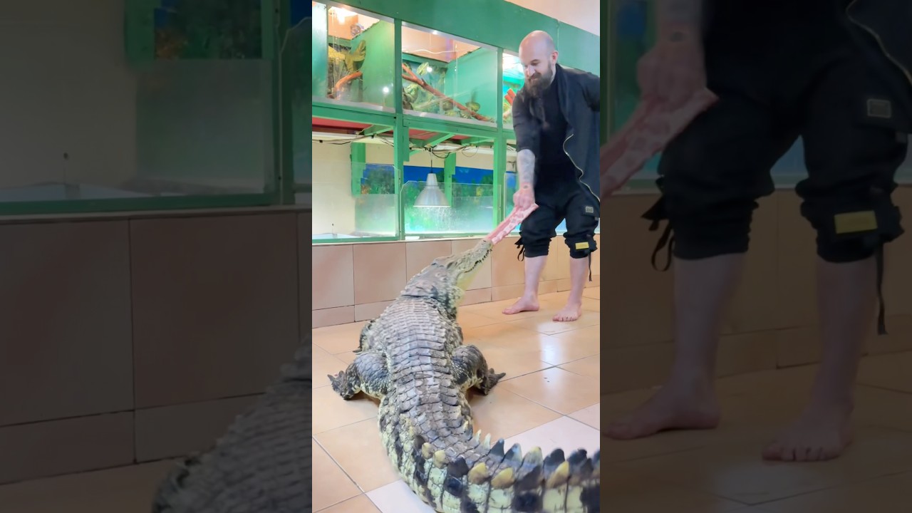 Традиционные африканские игрища в ребро