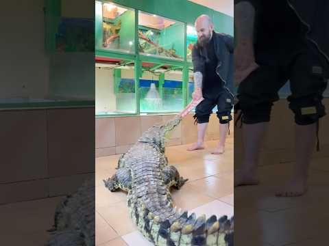 Традиционные африканские игрища в ребро