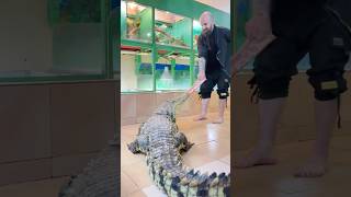 Традиционные африканские игрища в ребро