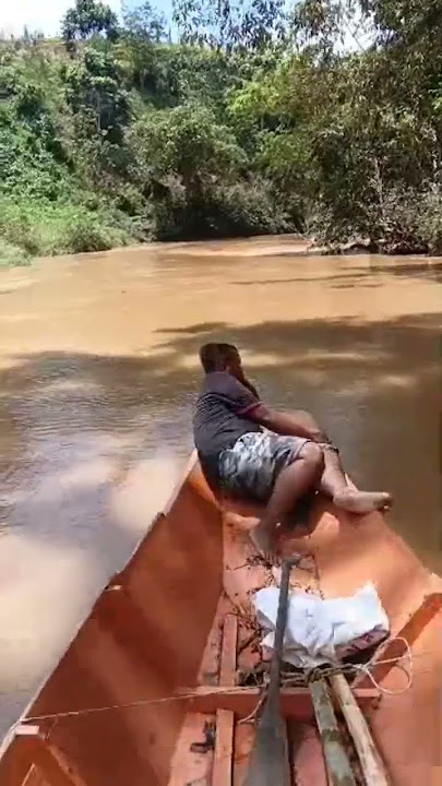 Nyayat Lumpung engkabang#orangulu #anakrumahpanjai #nature #pengawarumahpanjai #ngigabelanja