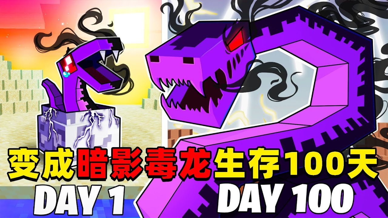 我的世界：变成暗影毒龙在MC中生存100天！