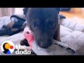 Dog Keeps Hugging His New Parrot Friend | The Dodo