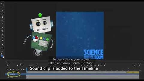 How to use Assets Panel in Animate